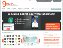 Tablet Screenshot of gulliver.com